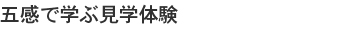 授業での活用事例