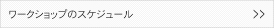 ワークショップのスケジュール
